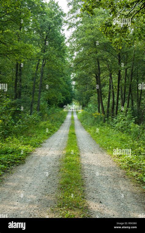 Straight Path Hi Res Stock Photography And Images Alamy