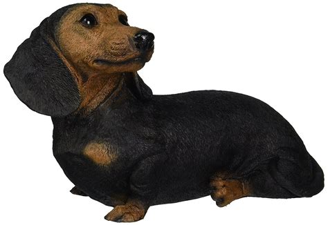 Here you will find the best dachshund products, including dachshund clothes, costumes, pajamas, toys, supplies, and great dachshund gifts ideas. Dachshund Home Decor | Black dachshund, Dogs, puppies, Dogs