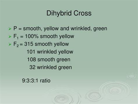 Dihybrid cross (two factors cross): PPT - Gregor Mendel: The father of genetics PowerPoint ...
