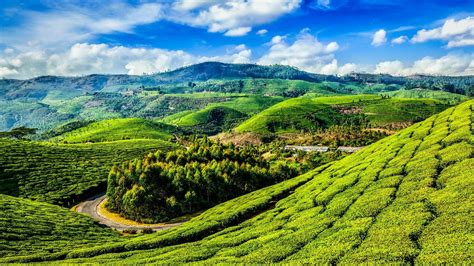 India Keralas National Parks And Backwaters Naturetrek