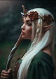 Elven cosplay Woodland Elven Crown halloween costume | Etsy | Fairy ...