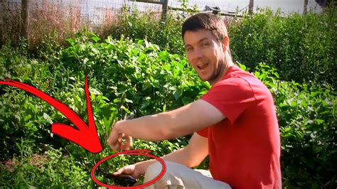 What Happens When You Urinate On Your Garden Youtube