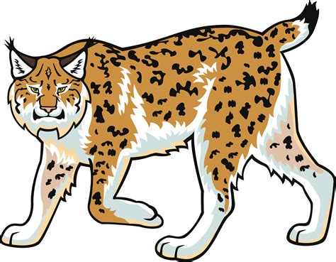 Collection Of Lynx Clipart Free Download Best Lynx Clipart On