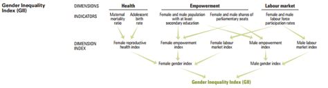 Gender Inequality Index Gii Human Development Reports Gender