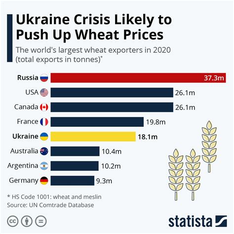 How Wheat Shortage Is Sparking A Global Food Crisis Earth Org