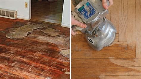 How To Clean Hardwood Floors With Pet Stains Floor Roma