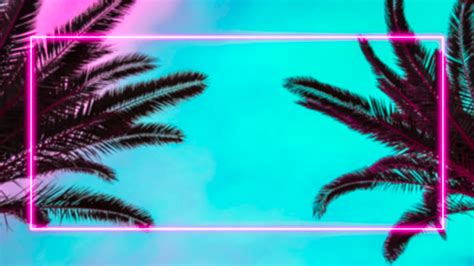 Palm Trees And Pink Neon Light Frame Stock Photo Download Image Now
