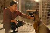 Is Channing Tatum's movie Dog based on a true story? | The US Sun