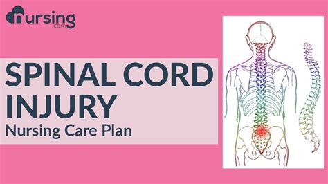 Nursing Care Plan For A Spinal Cord Injury Nursing Care Plan Tutorial