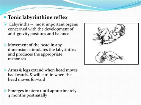 Reflexes Present In Infants