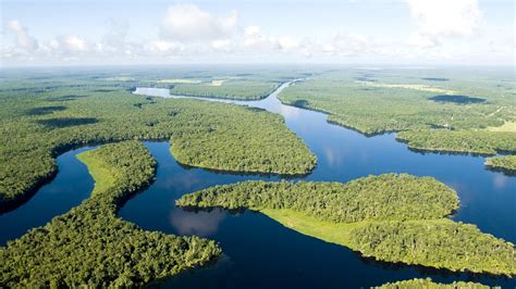 Wallpaper Lake Reflection River Amazon Birds Eye View Tundra