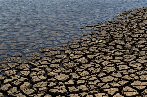 Brazil Drought Worst Water Crisis In 80 Years Affecting Four Million