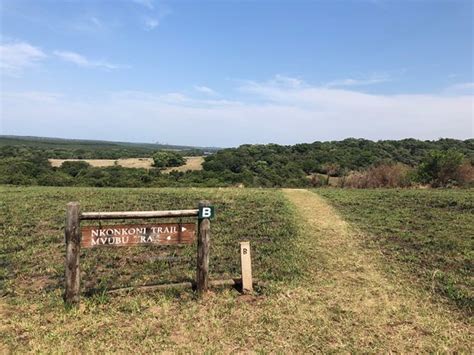 Enseleni Nature Reserve Richards Bay 2021 All You Need To Know