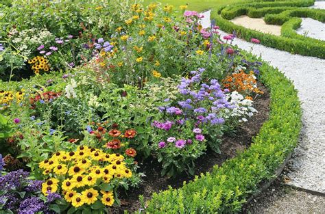 Flowers That Look Good Together Learn About Annual And Perennial