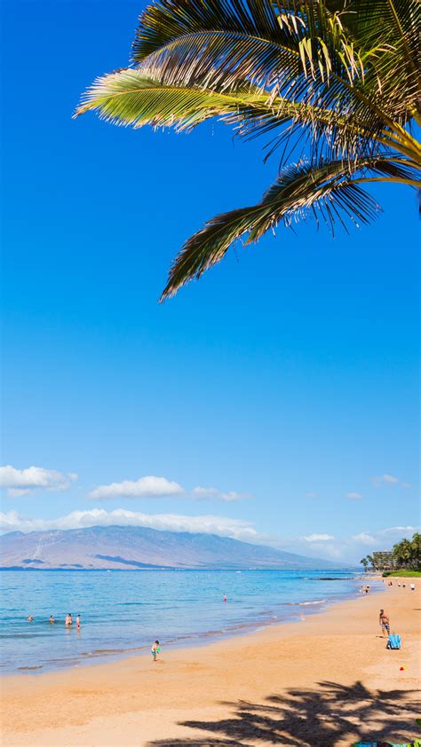 Wallpaper Maui Hawaii Beach Ocean Coast Palm Sky 5k Nature 16700