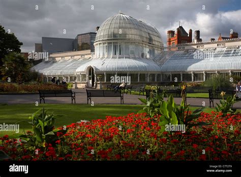 The Palm House Botanic Gardens Belfast Northern Ireland Uk Stock