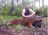 Hog Hunting Outfitters In Kentucky Pictures