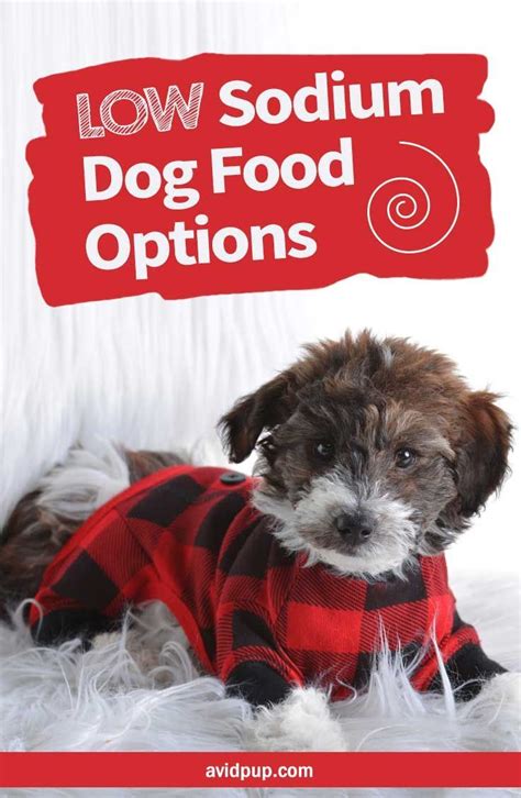 Take advantage of offers from pet circle or my pet warehouse who almost always have offers on many of the below foods, or use sniff out to find the best prices on pet products in australia. Low Sodium Dog Food Options, Best Picks (5 dry & 2 canned ...