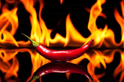 Flaming Hot Chili Pepper Stock Photos Pictures And Royalty Free Images