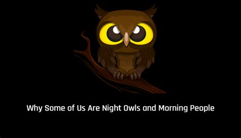 Why Some Of Us Are Night Owls And Morning People