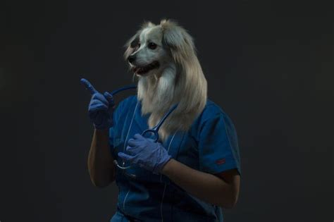 Isaac Alvarezs Humorous Portraits Merged Dog Heads With Human Bodies