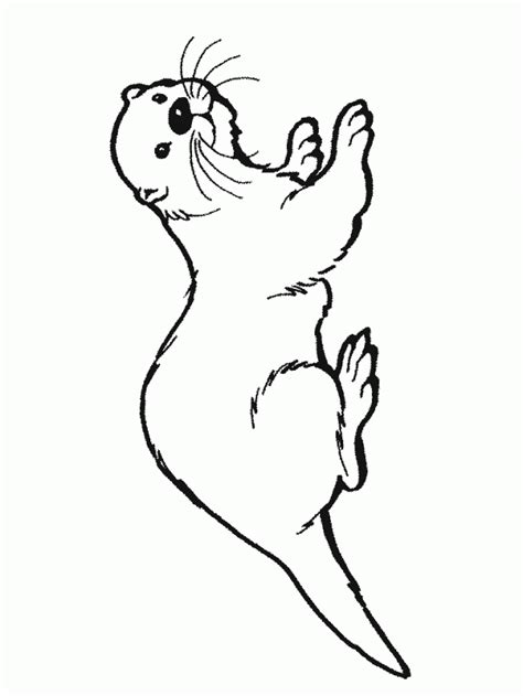 Download Sea Otter Coloring For Free Designlooter 2020 👨‍🎨