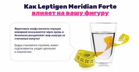 Липтоген меридиан диет цена