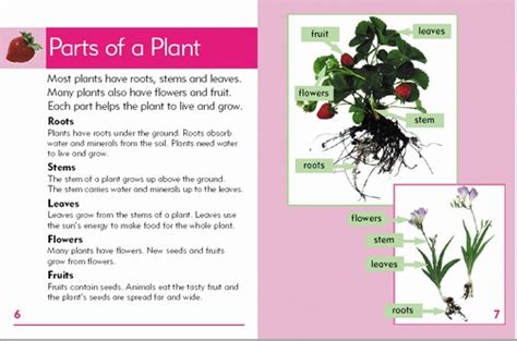 Go Facts Plants Set Blake Education Gfpla Educational Resources
