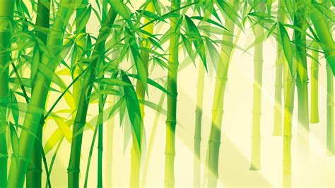 Bamboo Wallpaper Painting Green Bamboo Background