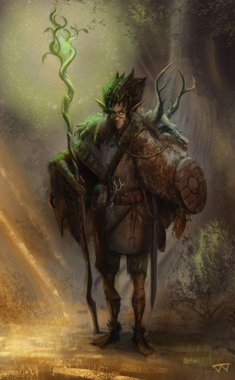 19 Elf Druid Ideas Elf Druid Fantasy Characters Druid