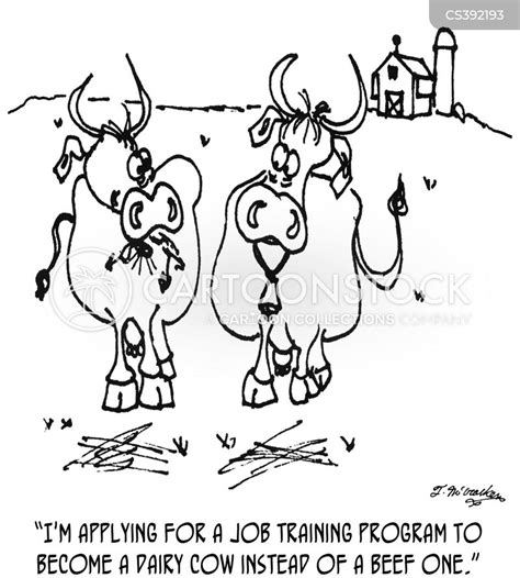 Beef Cow Cartoons And Comics Funny Pictures From Cartoonstock