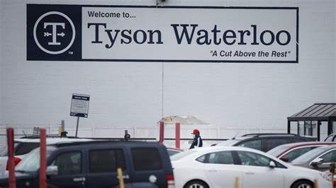 Fired Waterloo Tyson Manager Says Covid 19 Bet Was A Morale Boost