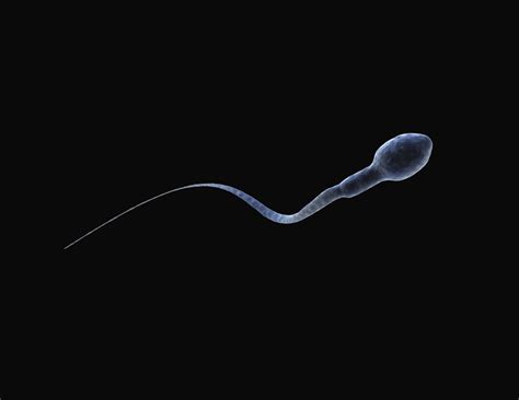 Sperm From Stem Cells First Sperm Made In A Lab Time