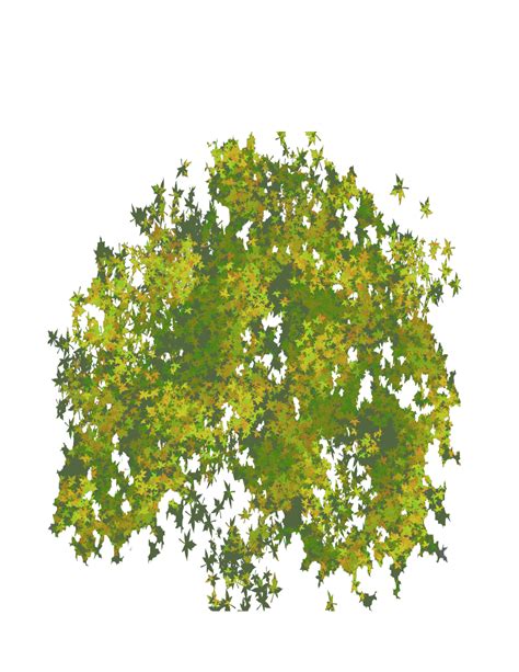 Top Tree Png Tree Png Top View Transparent Tree Top Viewpng Images