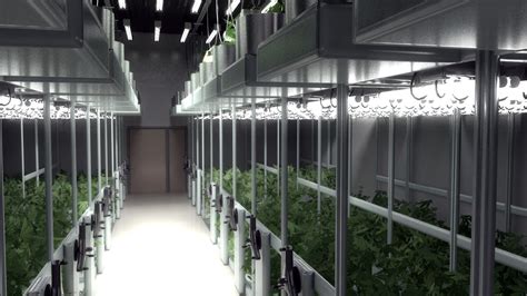 3D cannabis grow room model - TurboSquid 1366536
