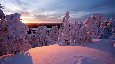 Hiver Laponie Finlande Paysages Dhiver Papier Peint De Bureau Aperçu
