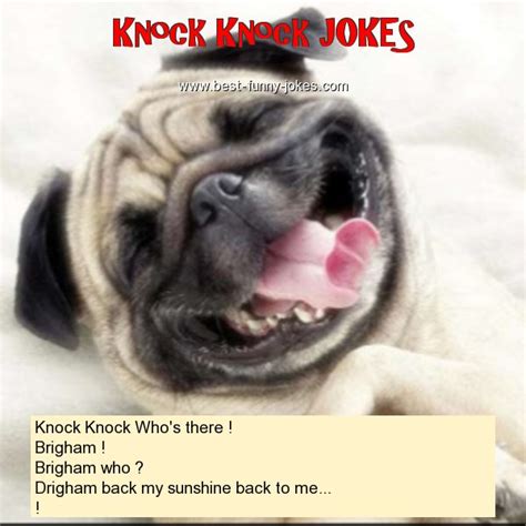 These naughty knock knock jokes are always good for a laugh and some can be a good icebreaker when talking to a group of girls. Knock Knock Jokes: Knock Knock Who's t...
