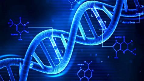 In the present article, we are briefly discussing each type of rna with its function and general structure. DNA - What is DNA? - Basics of DNA - YouTube