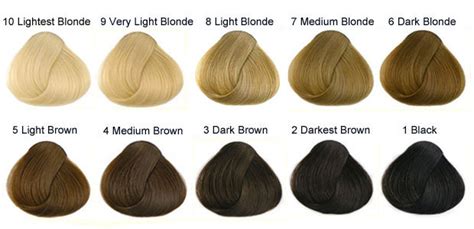 hair color levels best hair beauty salon art noise blog