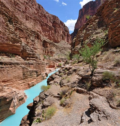 Grand Canyon Mouth Of Havasu Creek 0196 4726 X 4983 The Flickr