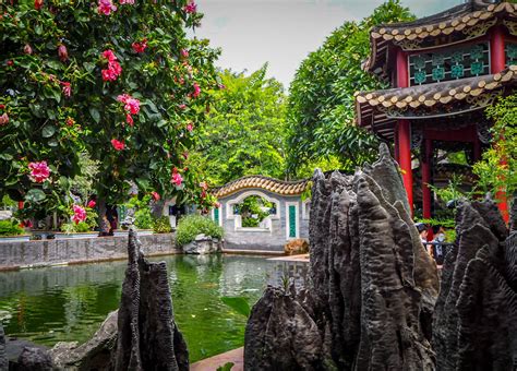 Qinghui Park Beholding Of Pure Splendor Park Foshan Shunde