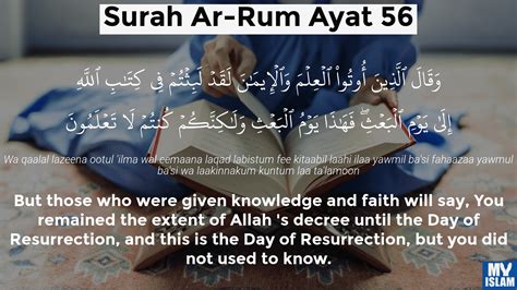 Surah Ar Rum Ayat 56 3056 Quran With Tafsir My Islam