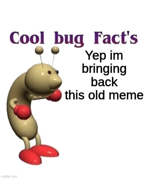The Return Of The Cool Bug Facts Imgflip