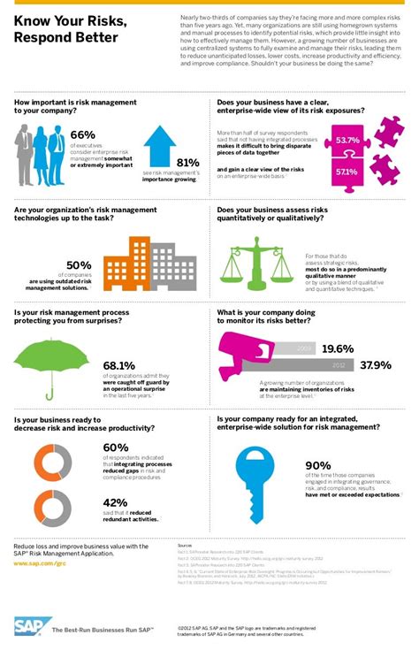 Risk Management Infographic