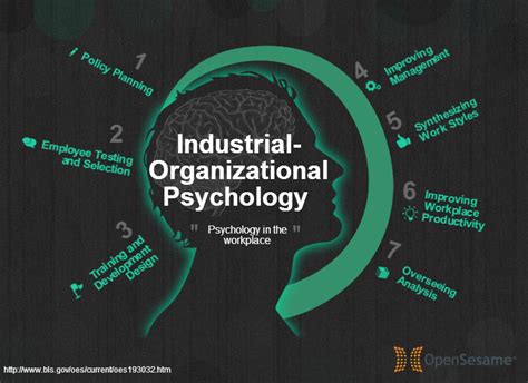 I/o psychologists are interested in helping organizations to be highly productive while ensuring that their workers are able to lead. Fastest Growing Jobs in America: Industrial-Organizational ...