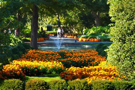 The 16 Most Beautiful Gardens To Visit This Fall Dallas Arboretum