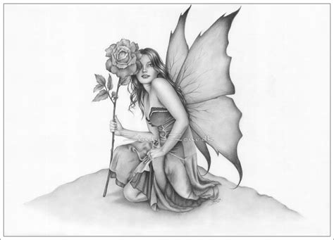 Zindy Zonedk New Drawings Fairy With The Flower