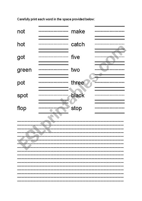 First Grade Vocabulary Worksheet