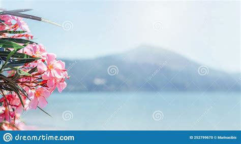 Pink Oleander Flowers At Water Lake And Mountains Landscape In Italy