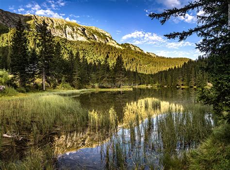 Photographie Lac Du Poursollet En été Triè